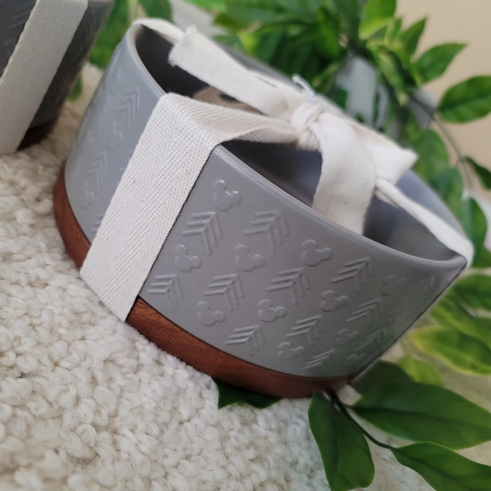 Disney Puppy Food Bowls (x2)